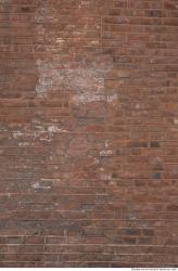 Photo Texture of Wall Bricks